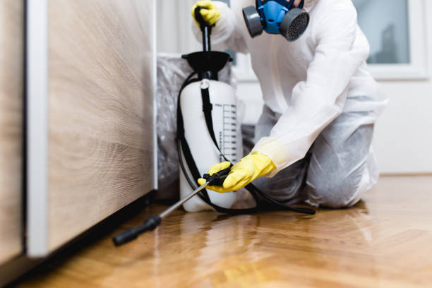 Best Pest Prevention Services  in Red Rock, AZ