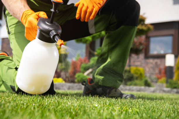 Best Wasp Removal Services  in Red Rock, AZ