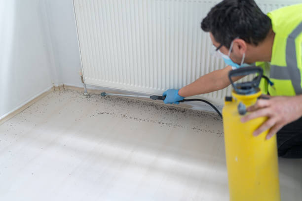 Best Affordable Pest Control Services  in Red Rock, AZ